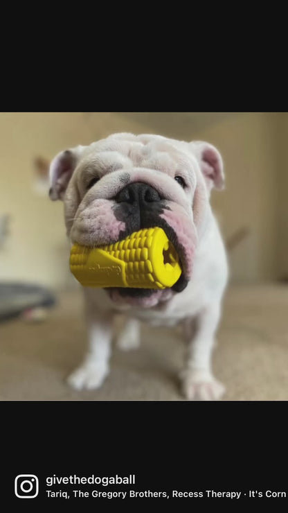 Corn Nylon Chew Toy