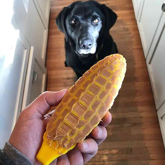 Corn Nylon Chew Toy