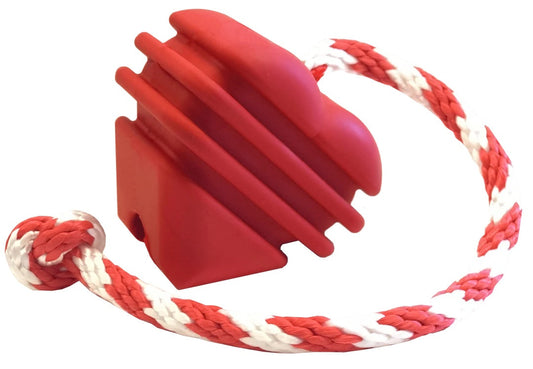 SodaPup Heart on a String