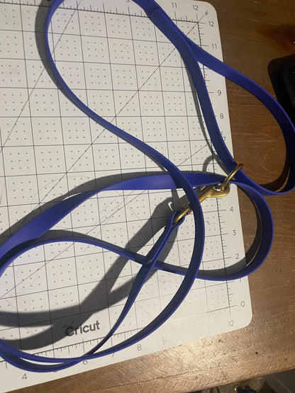 Give the Dog a Ball 6 foot BioThane Leash with Accessory Ring