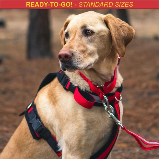 Alpine Outfitters Adjustable Harness