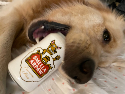 Silly Squeakers Can