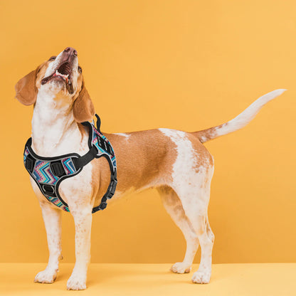 Dogline Removable Rectangle Patches