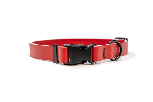 Waterproof Red Collar
