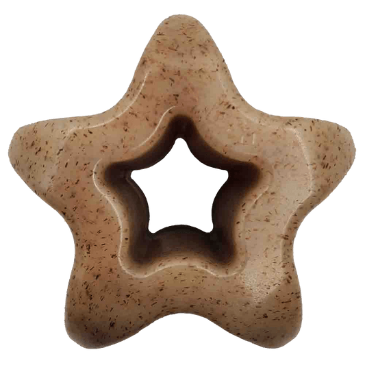 SodaPup Star Nylon Chew Toy