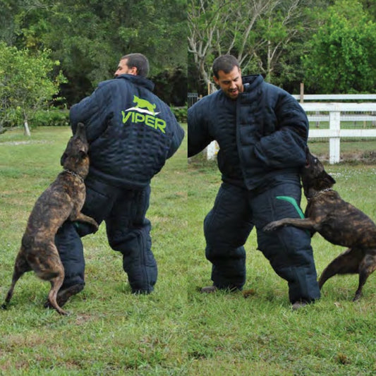 Dogline Spark Training Bite Suite
